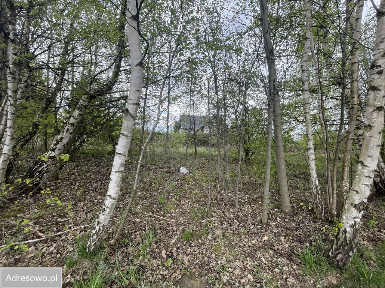 Działka budowlana Golkowice. Zdjęcie 2