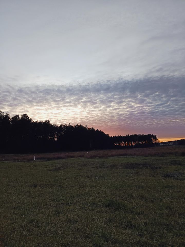 Działka budowlana Sąsieczno Miszek, ul. Adama Mickiewicza. Zdjęcie 2