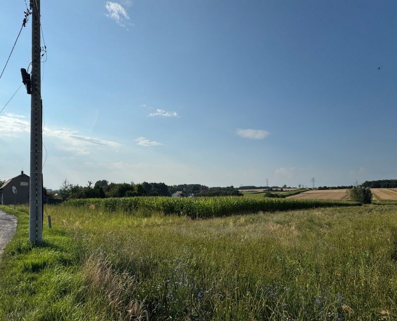 Działka rolno-budowlana Wieszowa. Zdjęcie 4