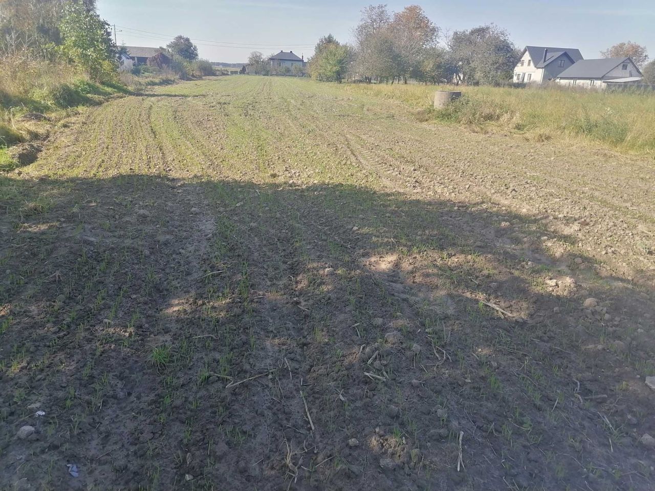 Działka budowlana Złojec. Zdjęcie 6