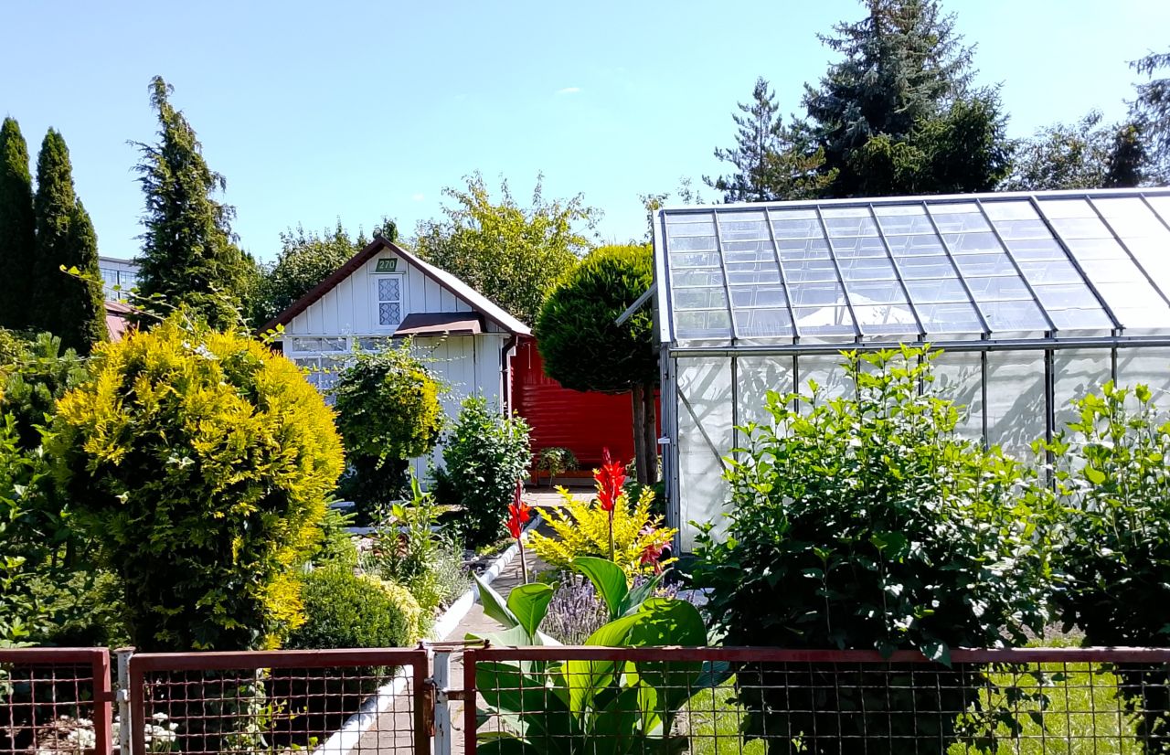 Działka rod Białystok, ul. Adama Mickiewicza. Zdjęcie 2