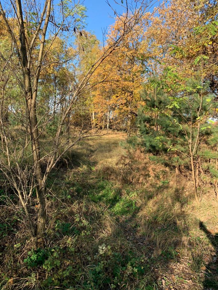 Działka budowlana Grębocin Kolonia Papowska, ul. Okrężna. Zdjęcie 8