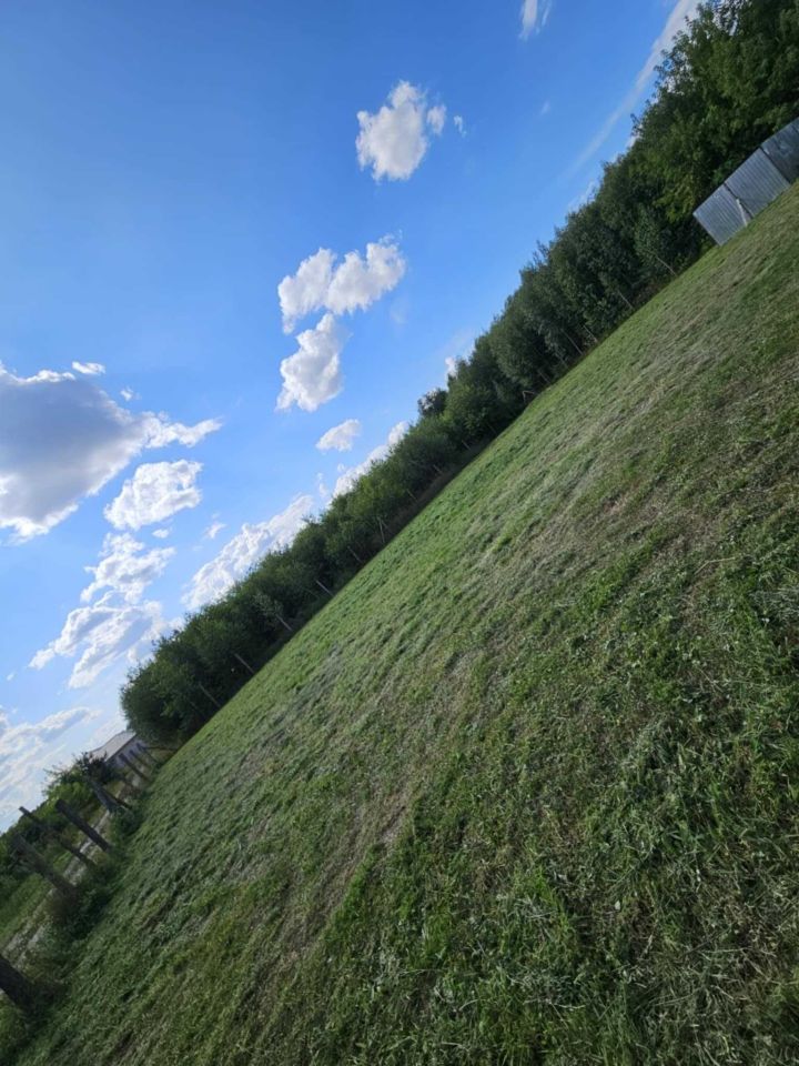 Działka budowlana Rościnno. Zdjęcie 5