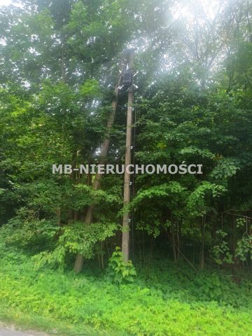 Działka rolna Ramsowo. Zdjęcie 7