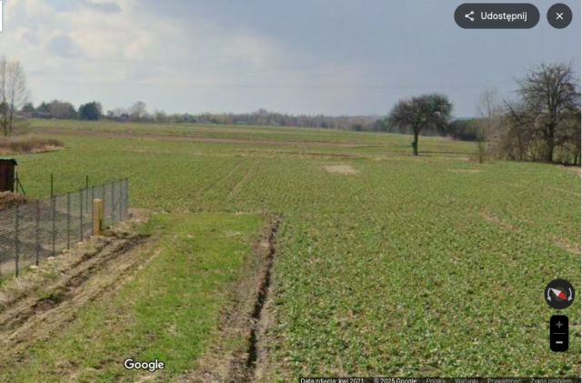 Działka rolno-budowlana Skrzynice Drugie, Skrzynice Drugie. Zdjęcie 1