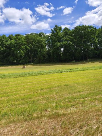 Działka rolno-budowlana Pożarów. Zdjęcie 1