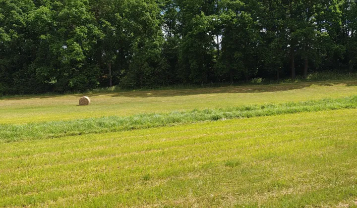 Działka rolno-budowlana Pożarów