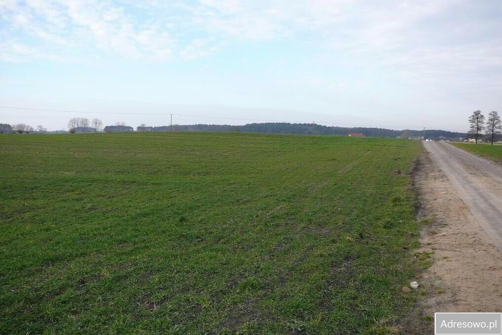 Działka budowlana Grzebienisko. Zdjęcie 7