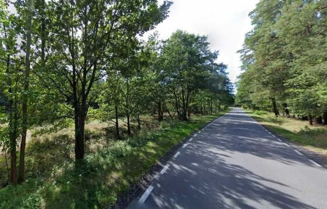 Działka leśna Zielona Góra Jarogniewice. Zdjęcie 1