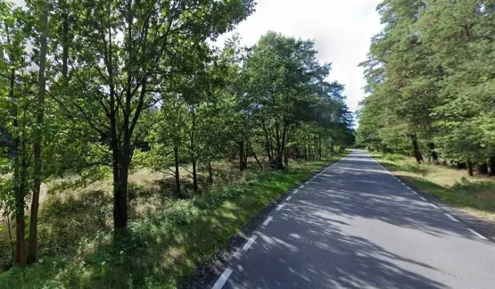 Działka leśna Zielona Góra Jarogniewice