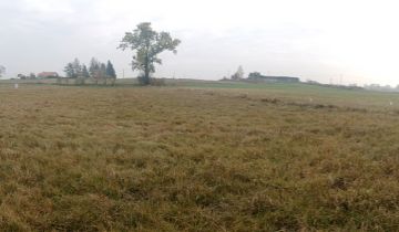 Działka rolno-budowlana Kożuchy Wielkie