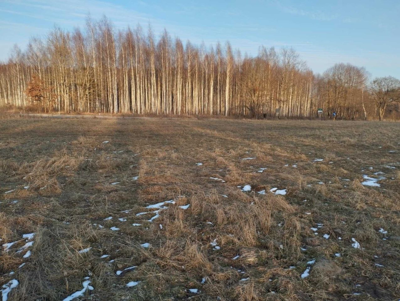 Działka rekreacyjna Sąpy. Zdjęcie 3