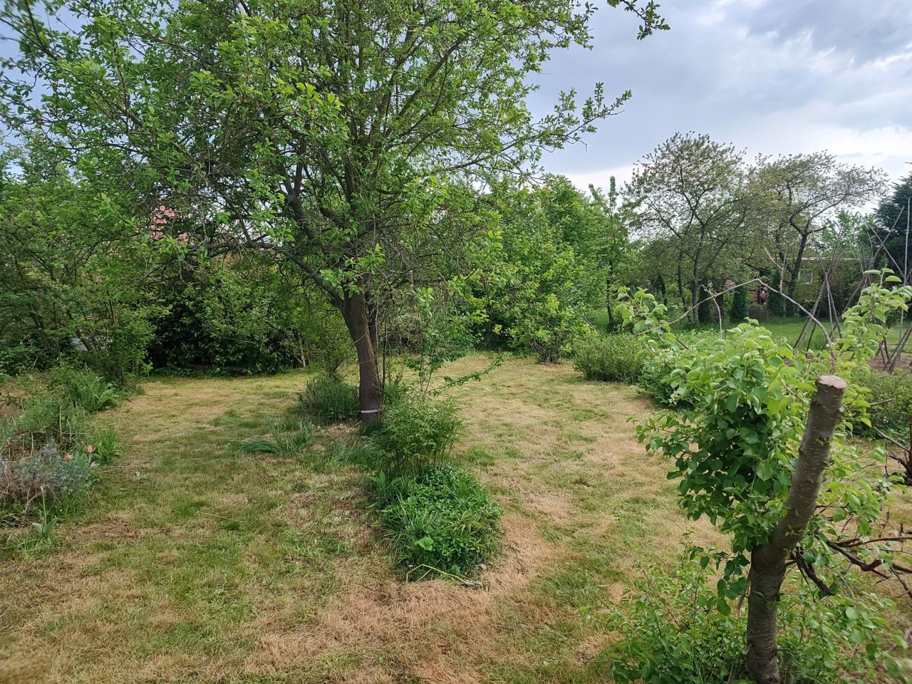 Działka rod Mielec Cyranka, ul. Kosmonautów. Zdjęcie 6