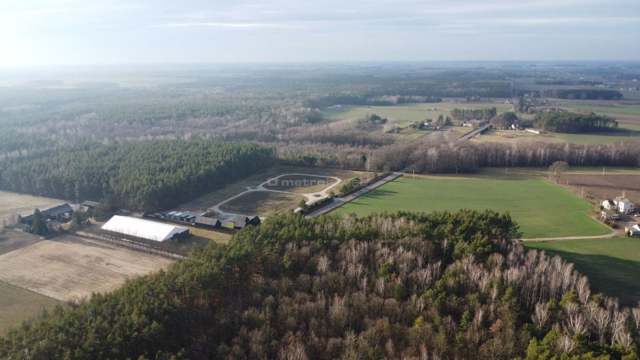 Działka budowlana Zalesie Borowe. Zdjęcie 7