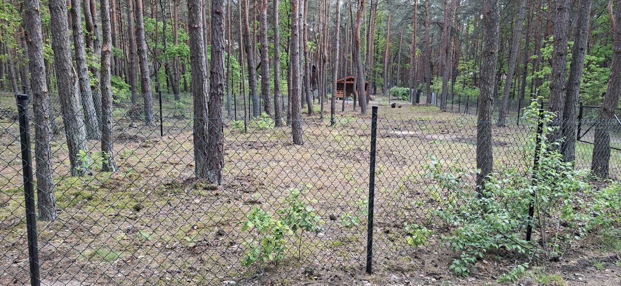 Działka budowlana Kania Polska, ul. Chabrowa. Zdjęcie 5