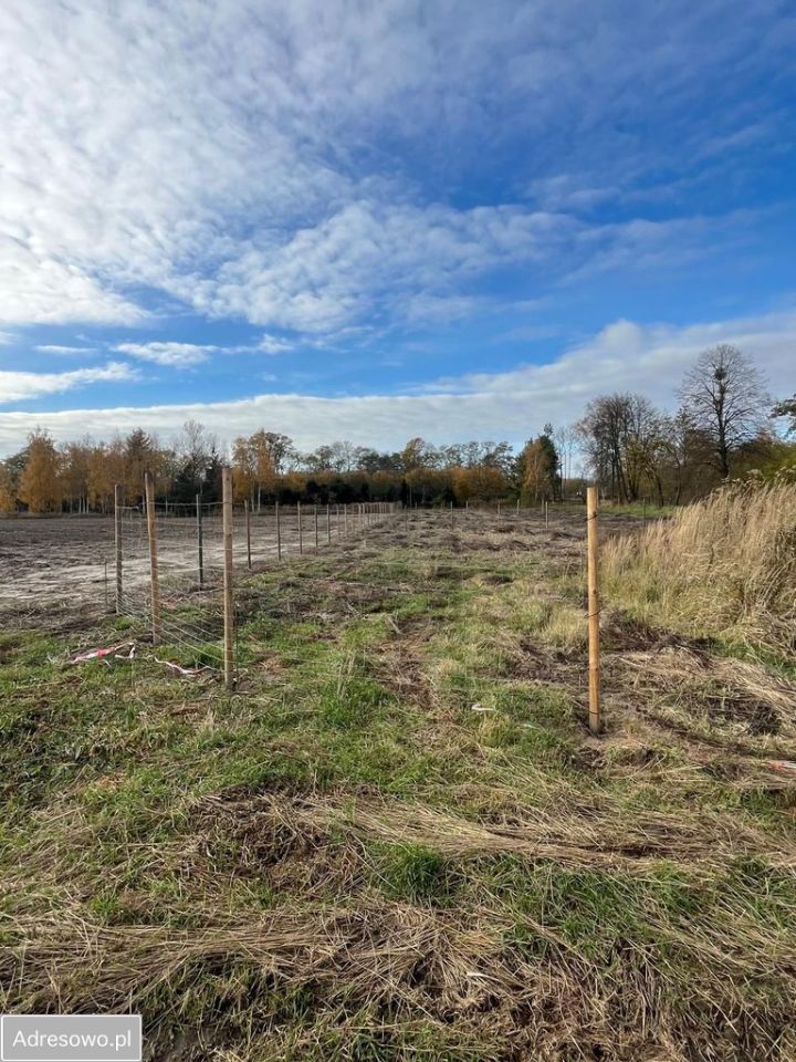 Działka rolno-budowlana Podkampinos. Zdjęcie 19