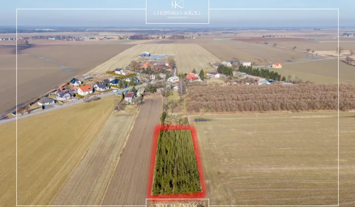 Działka rolna Łowęcin, ul. Sarbinowska