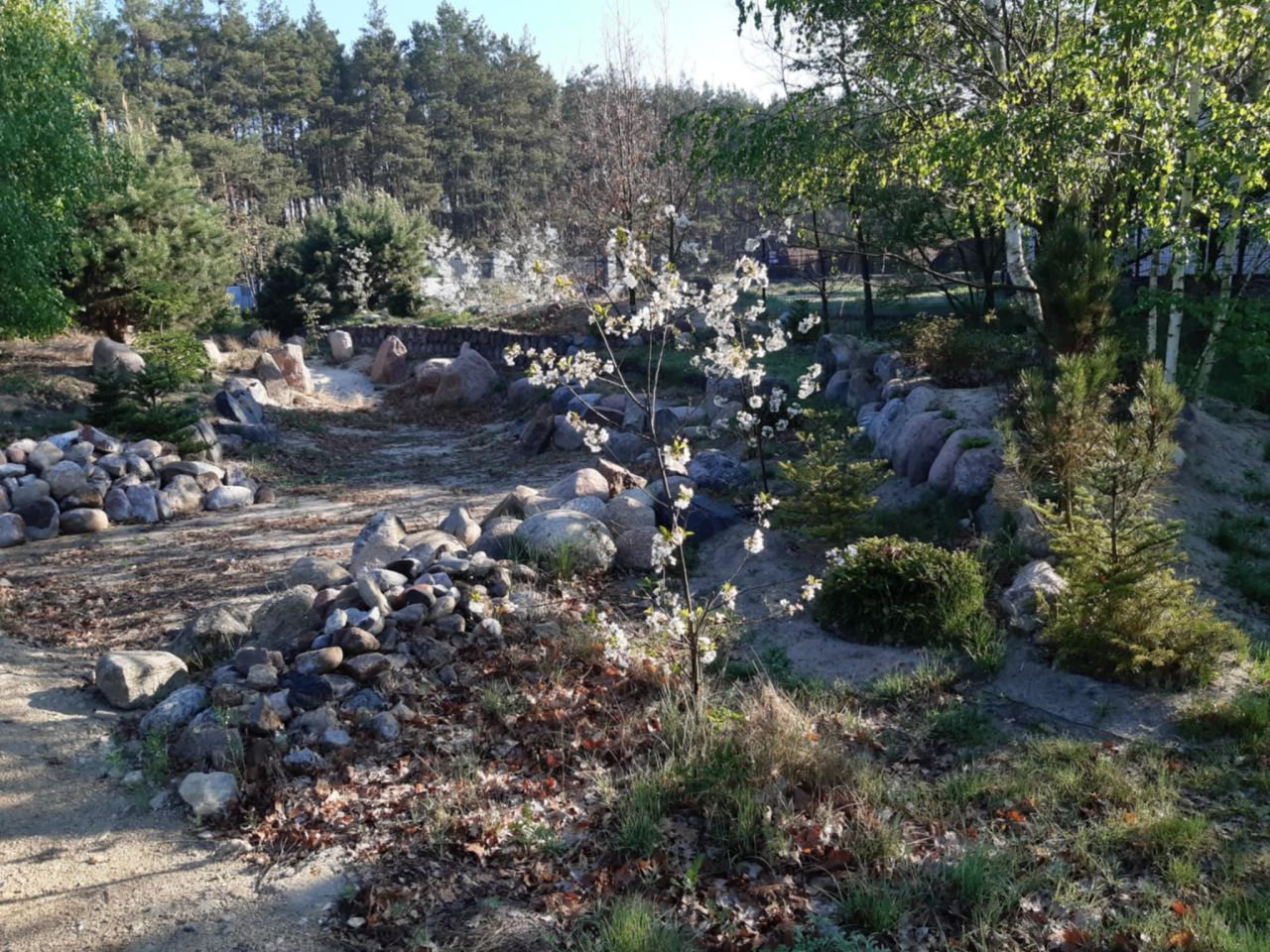 Działka budowlana Podbiel Krupińskie, Sosnowa. Zdjęcie 28