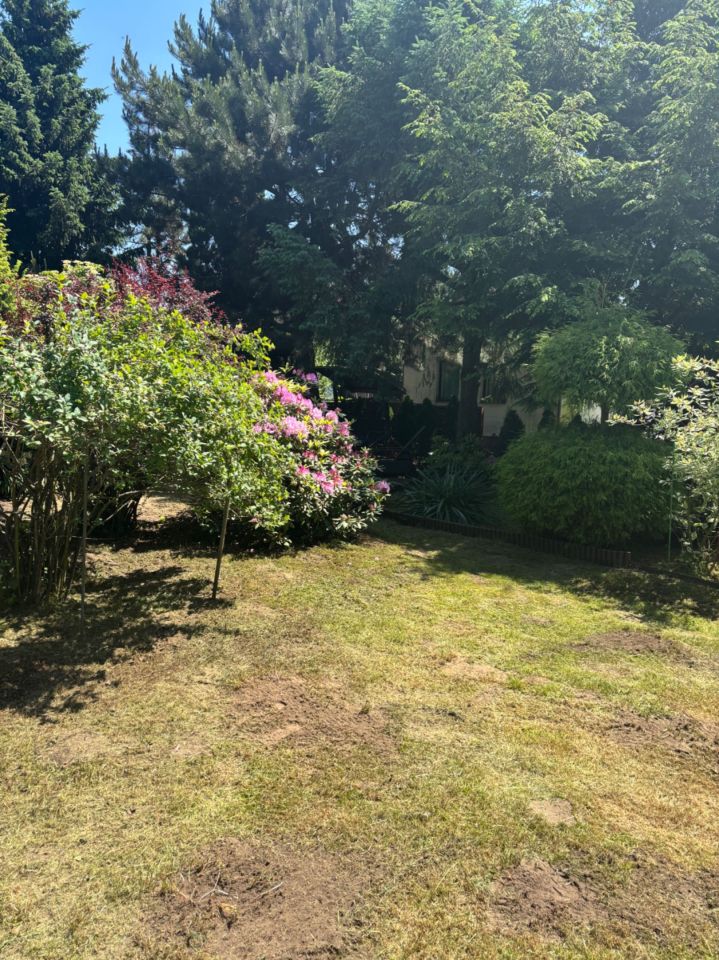 Działka rod Romanów. Zdjęcie 2