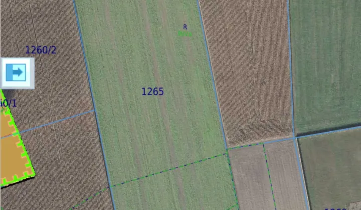 Działka rolna Wola Buchowska