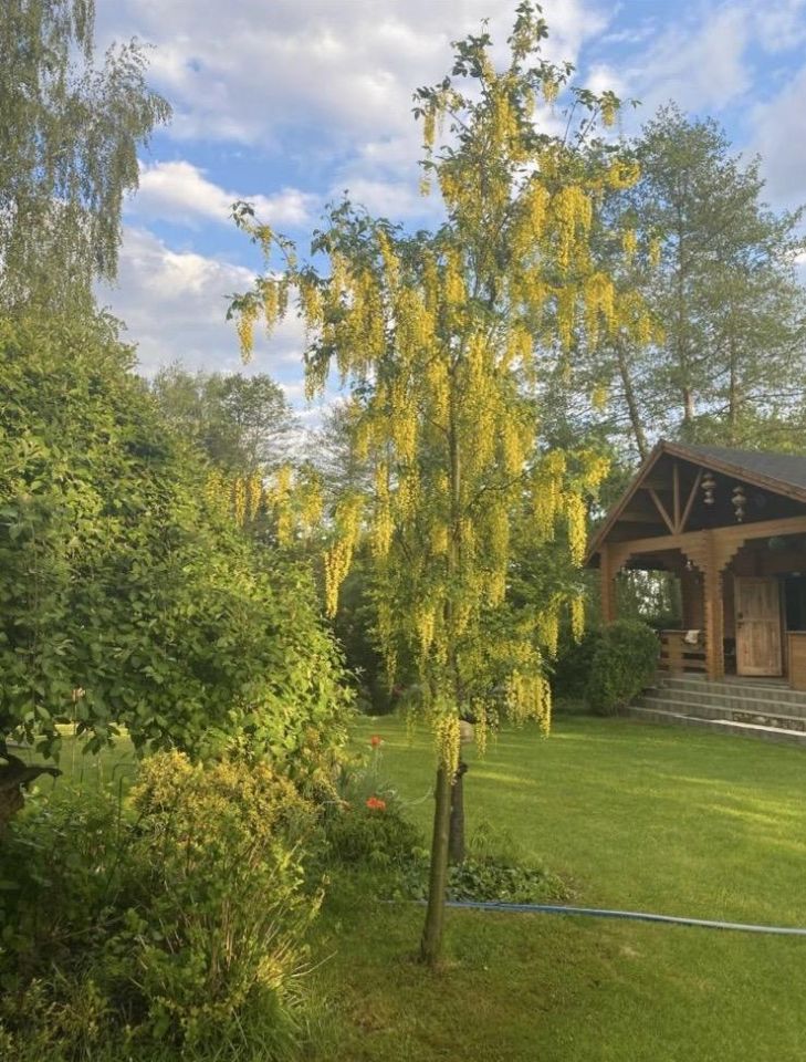 Działka rekreacyjna Młynarze, Młynarze. Zdjęcie 9