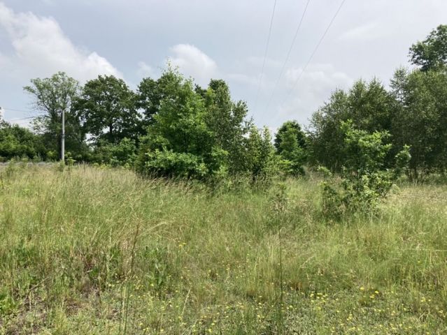 Działka budowlana Iwanowice Małe, ul. Miodowa. Zdjęcie 1