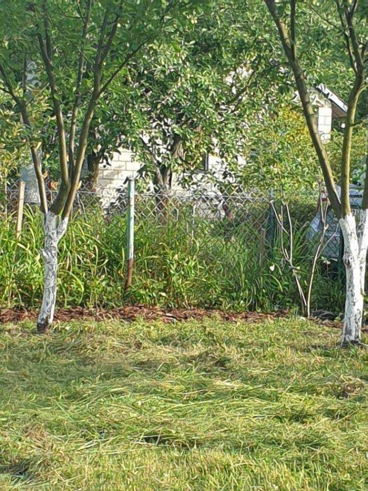 Działka rod Zielonka. Zdjęcie 6