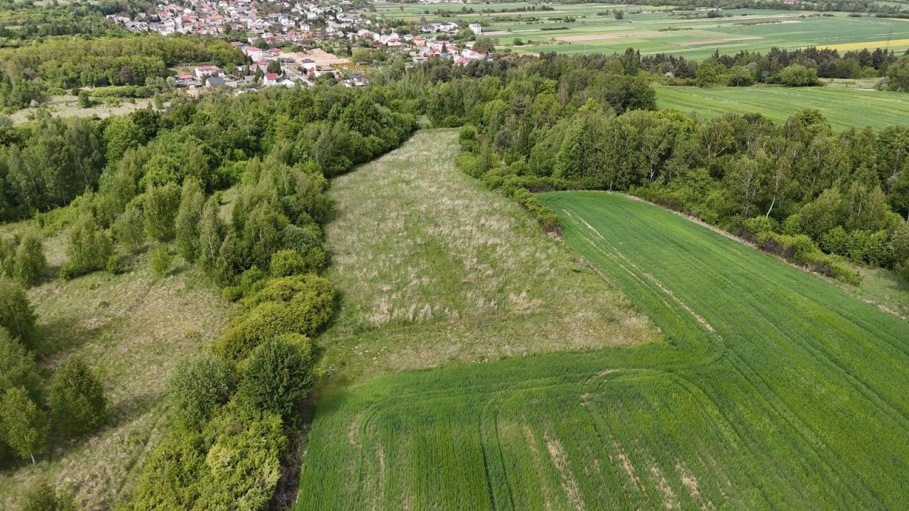 Działka rolna Kunów, ul. Kaznodziejska. Zdjęcie 3