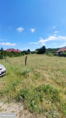 Działka rolna Żórawki. Zdjęcie 1