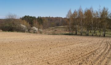 Działka rolno-budowlana Łęcze