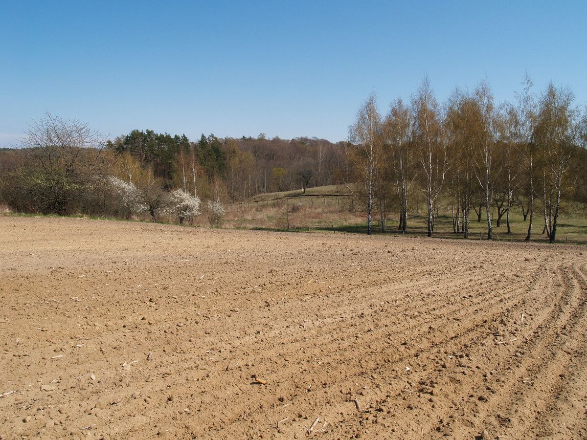 Działka rolno-budowlana Łęcze