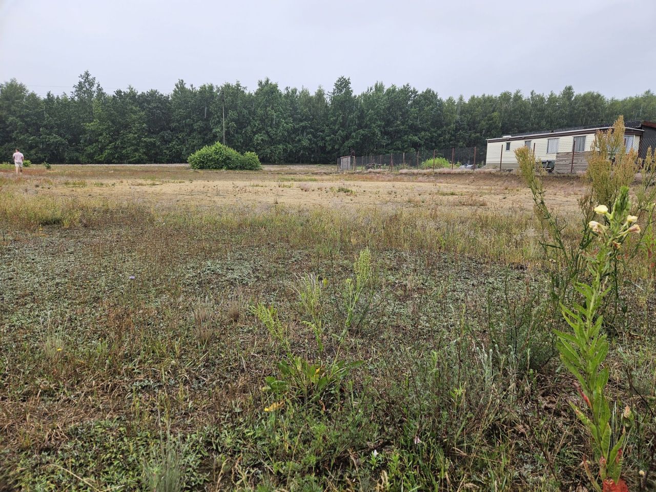 Działka budowlana Choinek. Zdjęcie 7