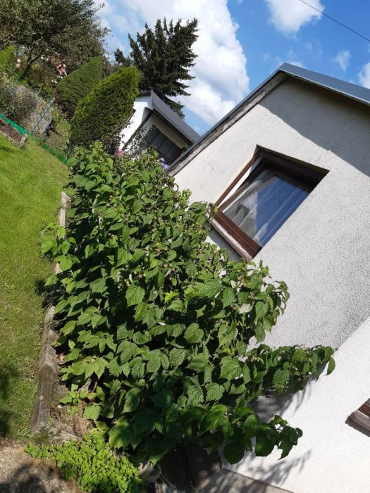 Działka rod Gdynia Oksywie, ul. Zielona. Zdjęcie 13