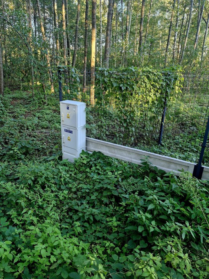 Działka budowlana Orzeszkowo. Zdjęcie 4