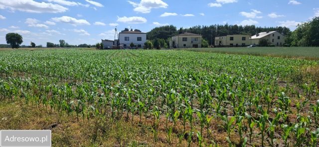 Działka budowlana Dalików. Zdjęcie 1