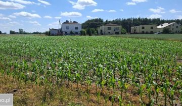 Działka budowlana Dalików
