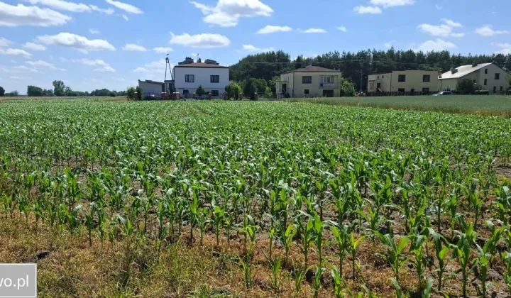 Działka budowlana Dalików