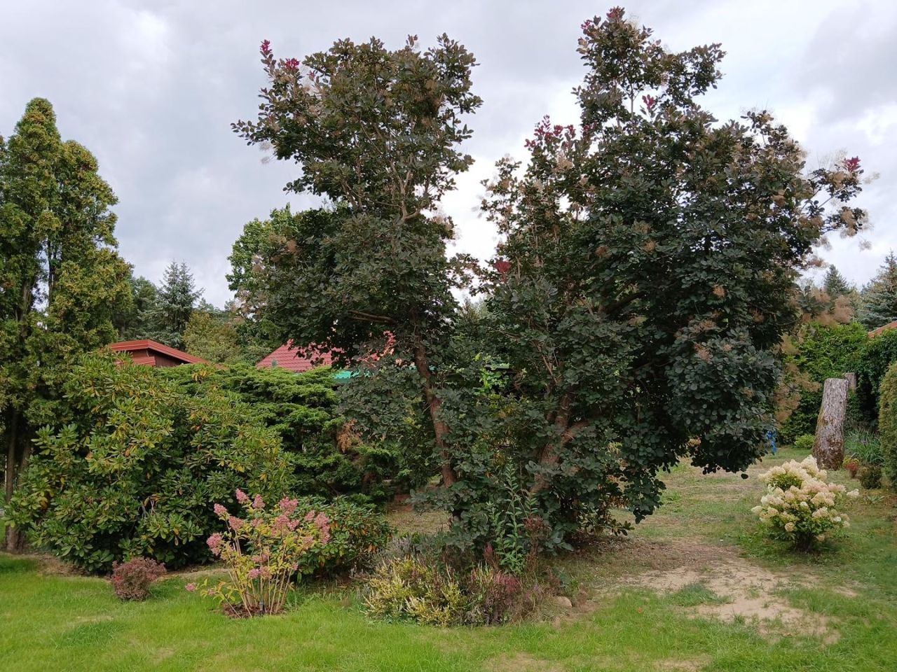 Działka rod Stefanowo, ul. Ułanów. Zdjęcie 14