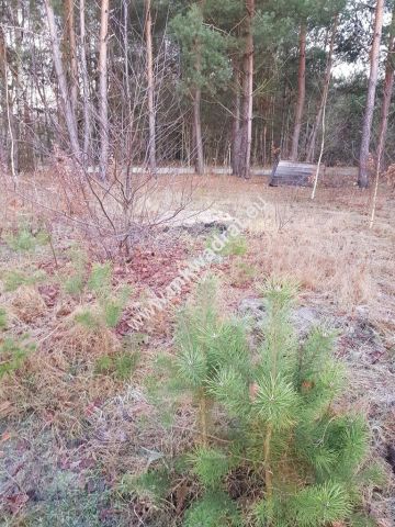 Działka budowlana Jesionka. Zdjęcie 9