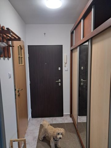 Mieszkanie 1-pokojowe Lublin Czechów, ul. Młodej Polski. Zdjęcie 2