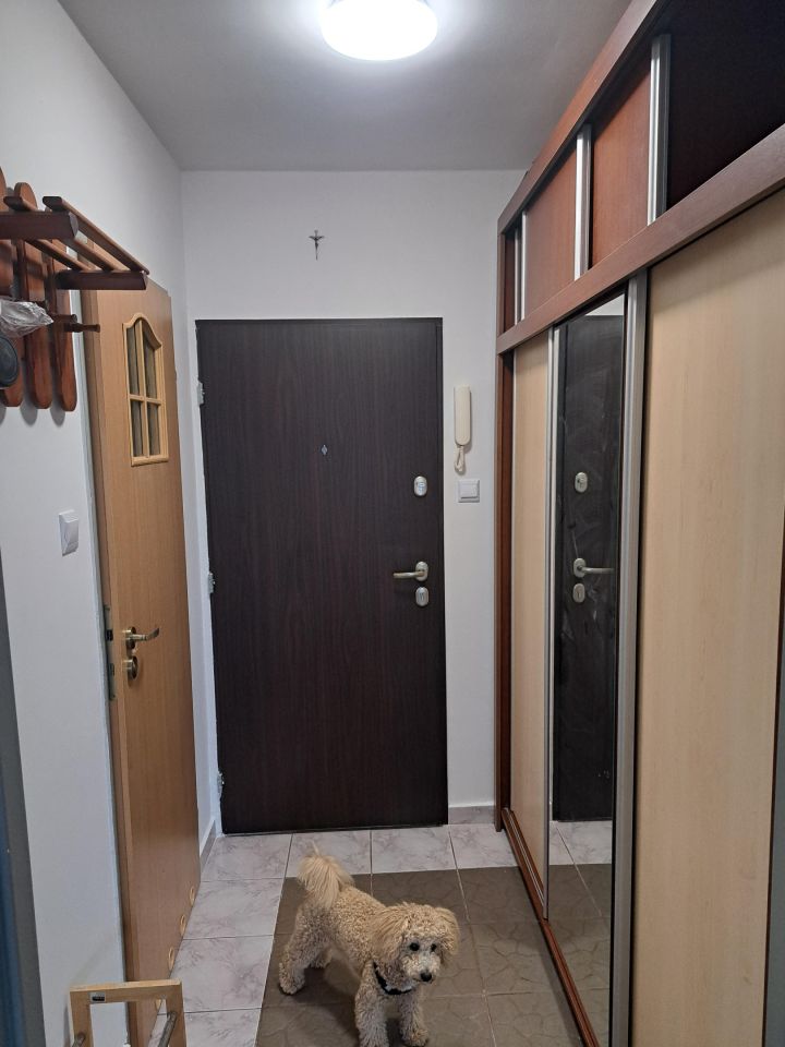 Mieszkanie 1-pokojowe Lublin Czechów, ul. Młodej Polski. Zdjęcie 2