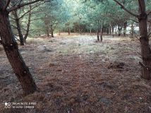 Działka rolna Bocheniec. Zdjęcie 4