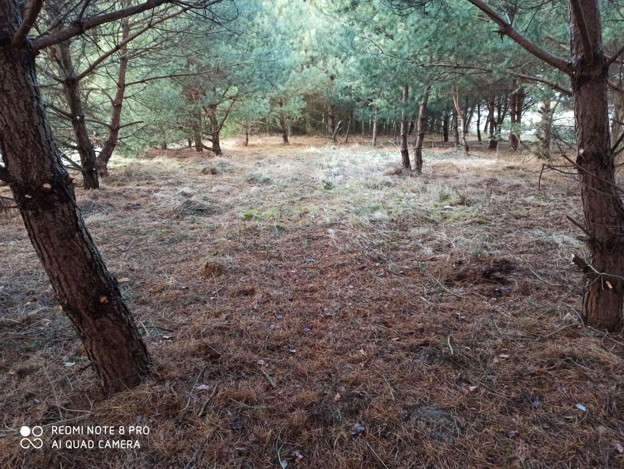 Działka rolna Bocheniec. Zdjęcie 5