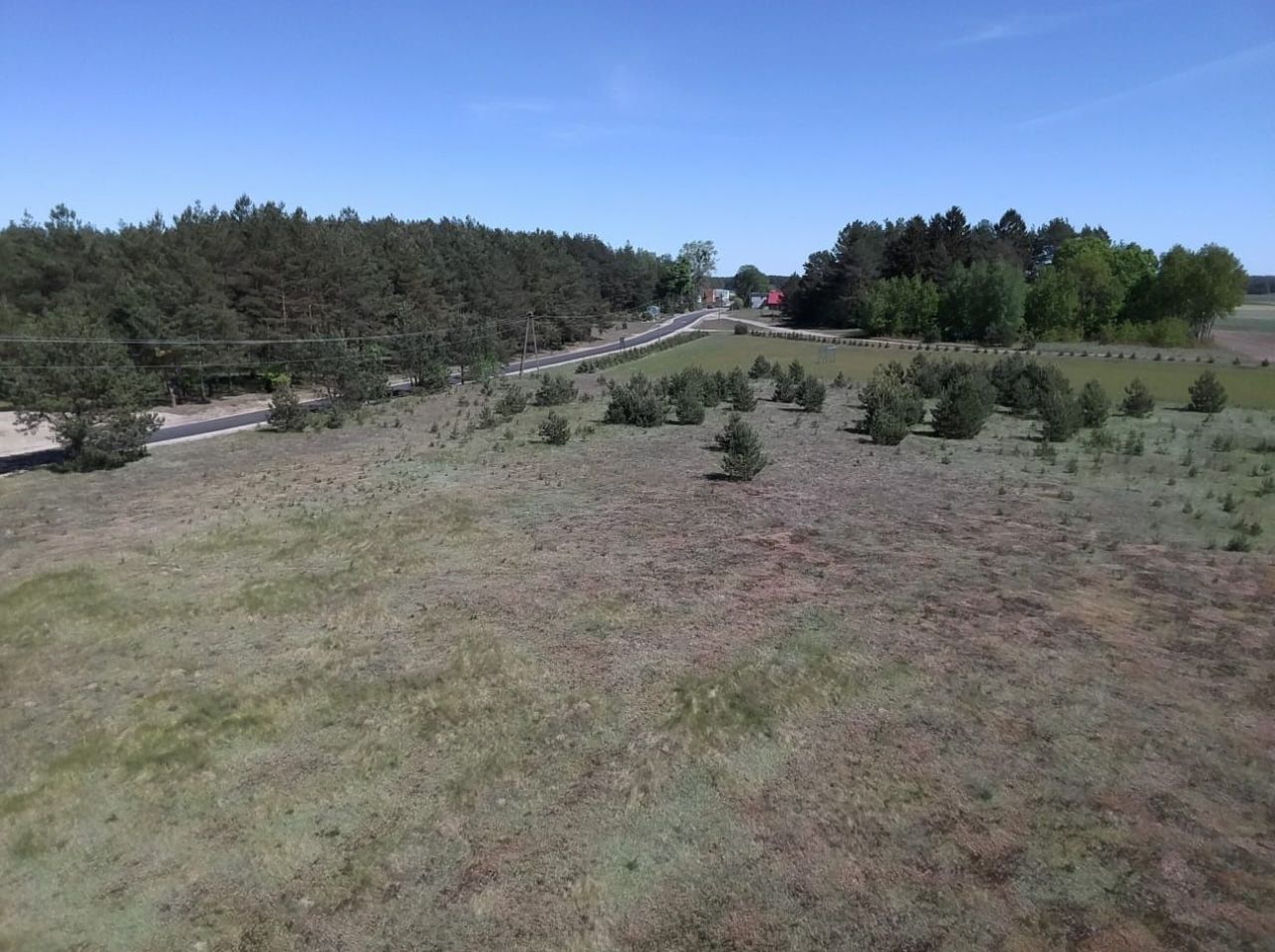 Działka budowlana Brzozie. Zdjęcie 8