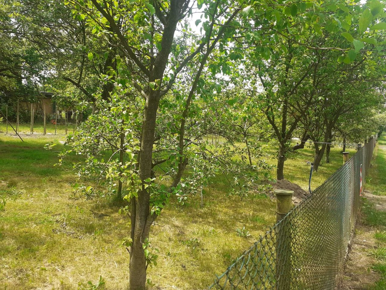 Działka rod Gliwice Stare Gliwice, ul. Kozielska. Zdjęcie 7