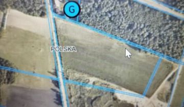 Działka siedliskowa Spławie