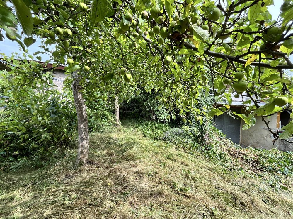 Działka rod Ostrzeszów. Zdjęcie 2