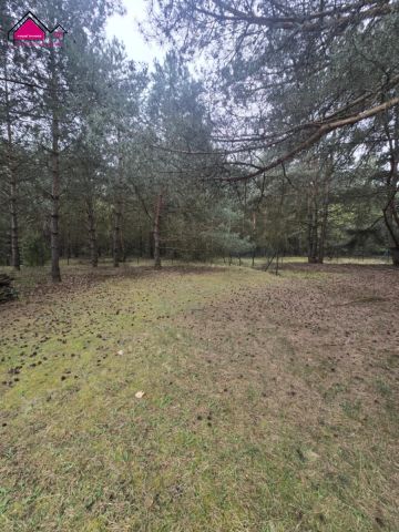 dom wolnostojący, 1 pokój Ślesin. Zdjęcie 8