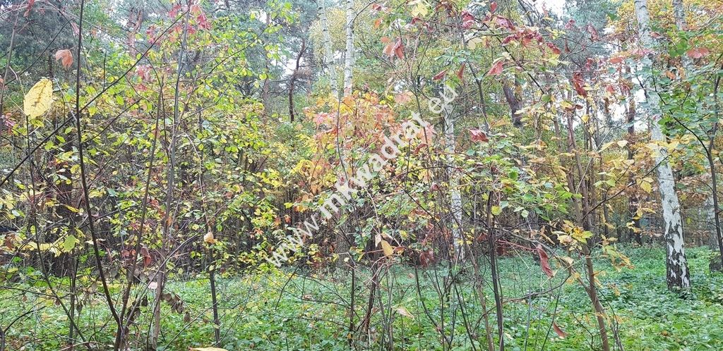 Działka budowlana Siestrzeń. Zdjęcie 4