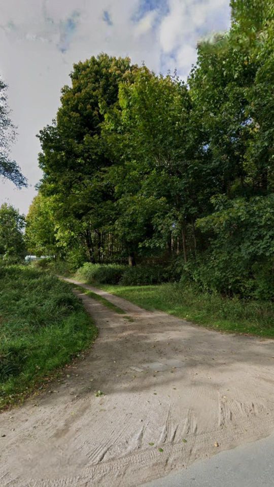 siedlisko Boguszewo, Boguszewo. Zdjęcie 15